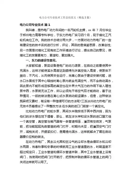 电力公司专业技术工作总结范文（精选3篇）