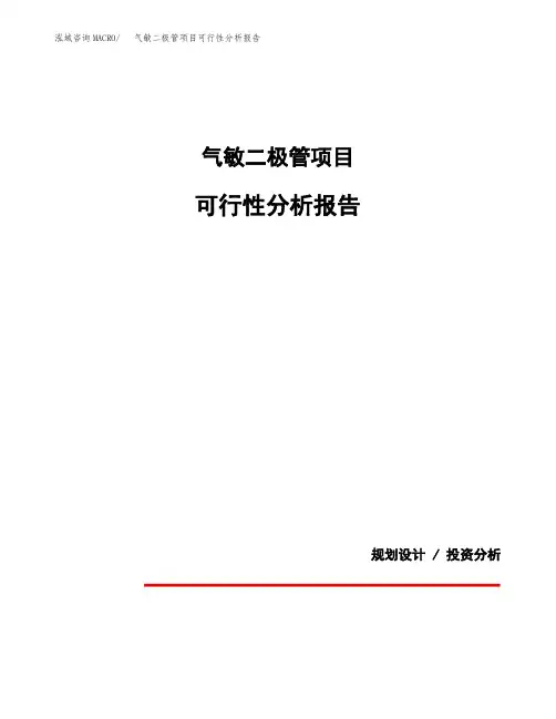 气敏二极管项目可行性分析报告(模板参考范文)