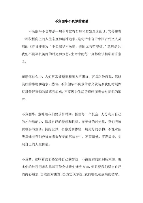 不负韶华不负梦的意思