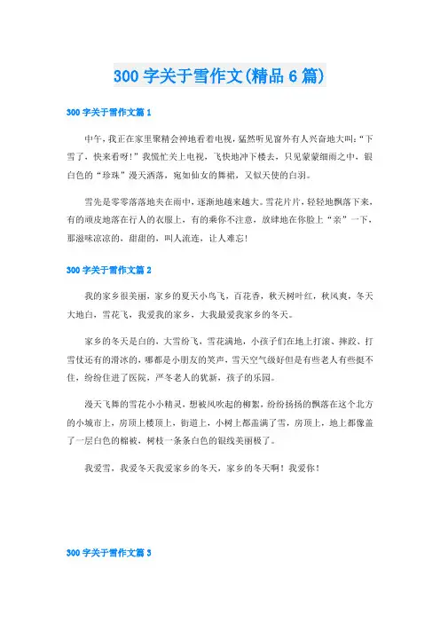 300字关于雪作文(精品6篇)