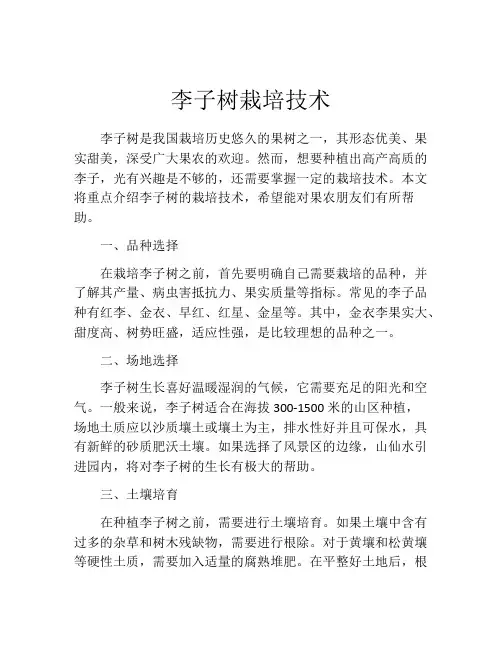 李子树栽培技术