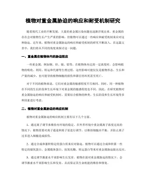 植物对重金属胁迫的响应和耐受机制研究