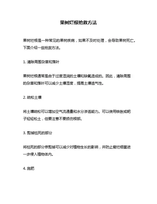 果树烂根抢救方法