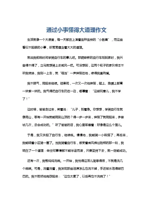 通过小事懂得大道理作文