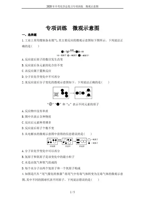 2020年中考化学总复习专项训练 微观示意图