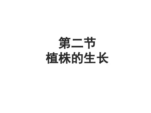 人教版初中生物七上 3.2.2 植株的生长 课件(共24张PPT)