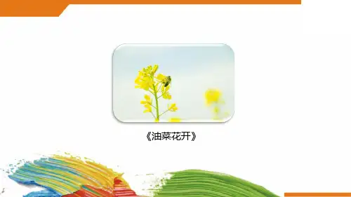 2024年3岁-4岁《油菜花开》-美术课件