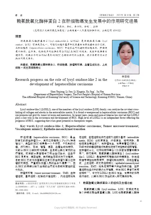 赖氨酰氧化酶样蛋白2_在肝细胞癌发生发展中的作用研究进展