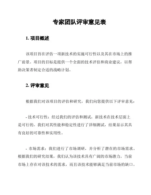专家团队评审意见表