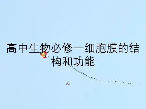高中生物必修一细胞膜的结构和功能