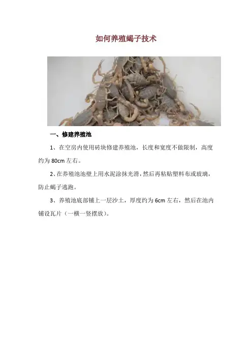 如何养殖蝎子技术