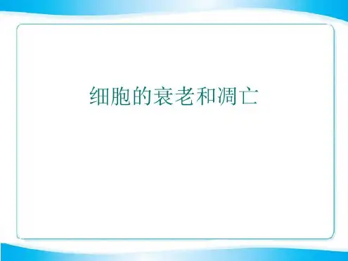 细胞的衰老和凋亡