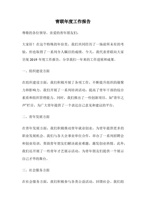 青联年度工作报告