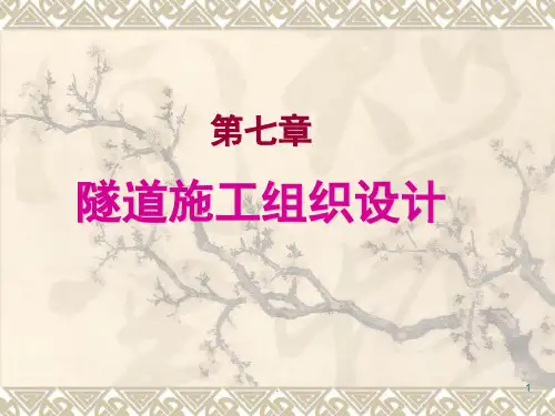隧道施工组织设计(课堂PPT)