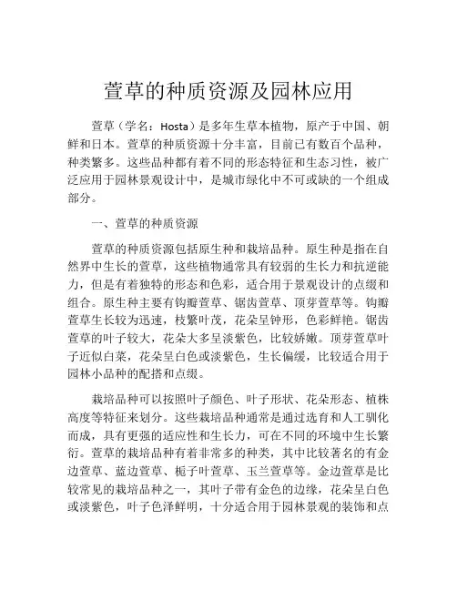 萱草的种质资源及园林应用