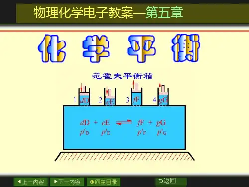 大学物理化学05章_化学平衡.ppt