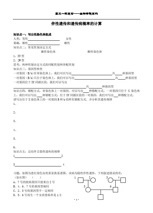 伴性遗传和遗传病概率计算
