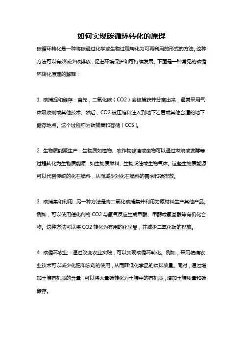 如何实现碳循环转化的原理