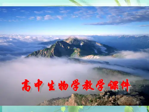 高中生物计算详解 PPT课件 图文