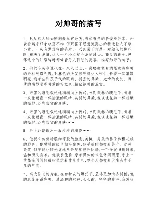 对帅哥的描写