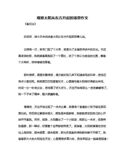 观察太阳从东方升起的场景作文