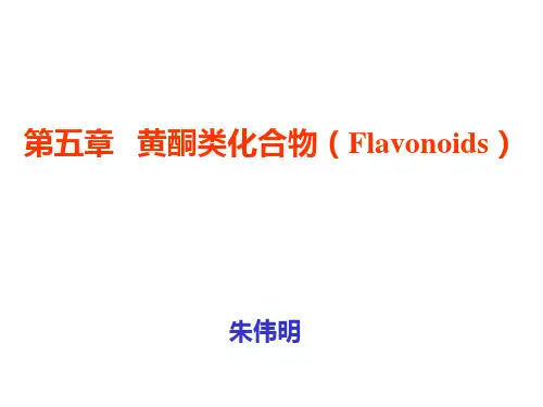 黄酮类化合物