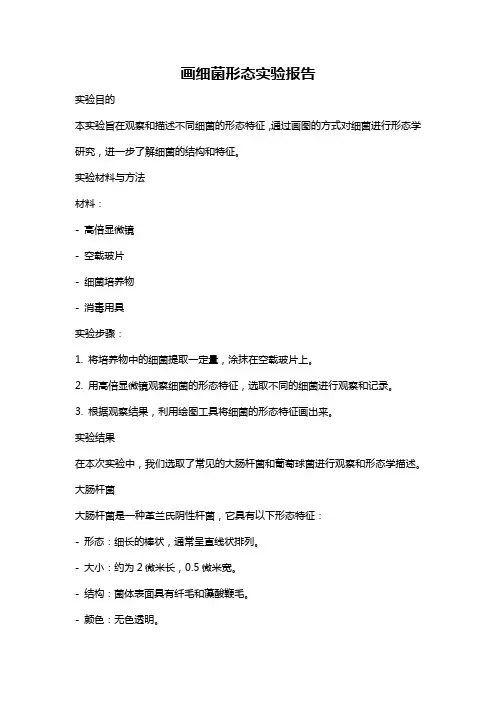 画细菌形态实验报告