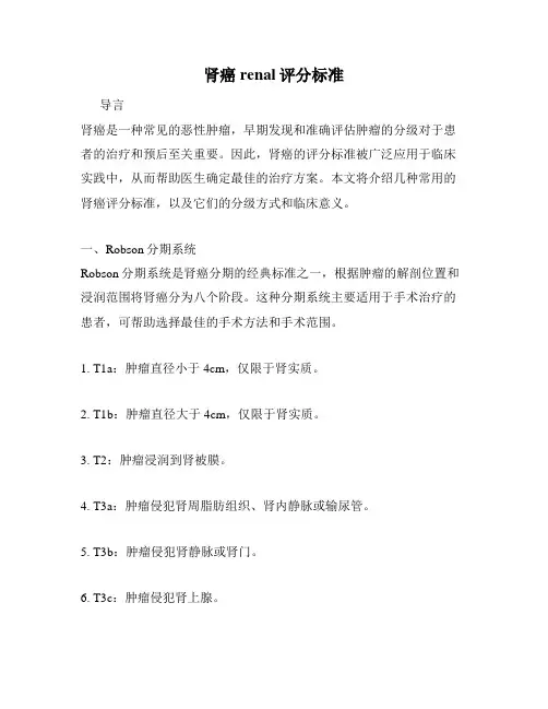 肾癌renal评分标准