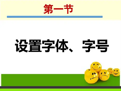一设置字体、字号课件