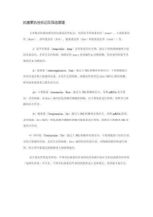 抗生素筛选标记及原理