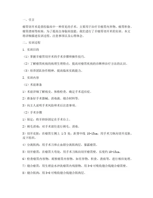 羊瘤胃切开术实训报告