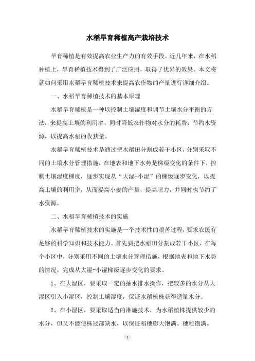 水稻旱育稀植高产栽培技术