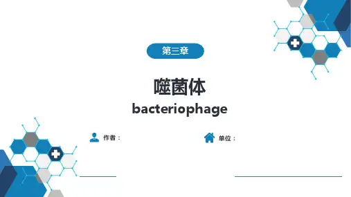 医学微生物学-第一篇 细菌学 第三章  噬菌体