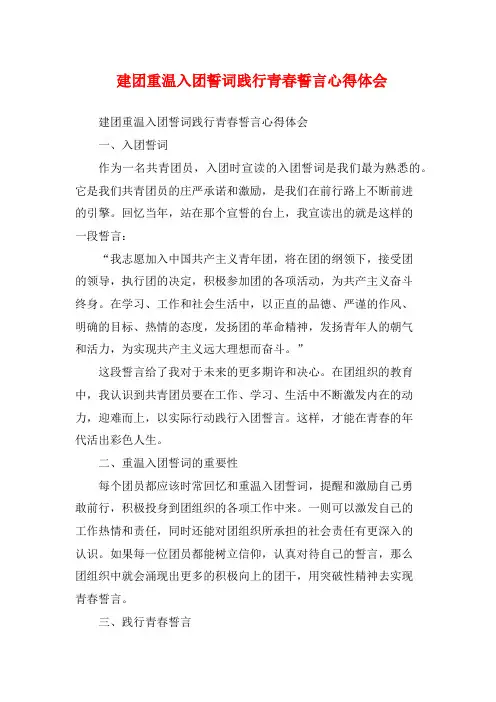 建团重温入团誓词践行青春誓言心得体会 (2)