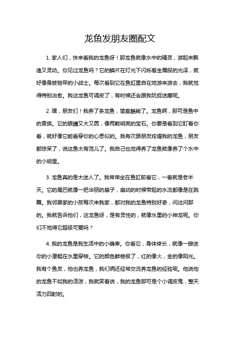 龙鱼发朋友圈配文