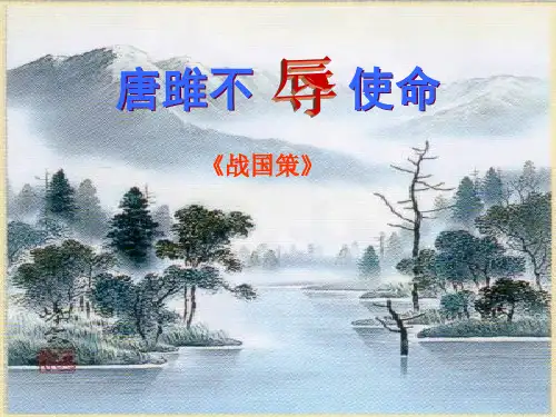 22《唐雎不辱使命》ppt课件