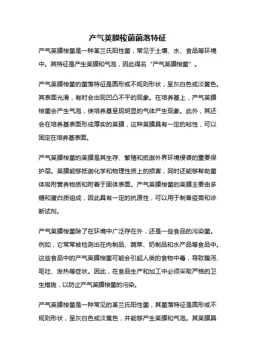 产气荚膜梭菌菌落特征