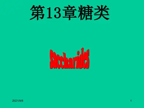 糖的概念和分类