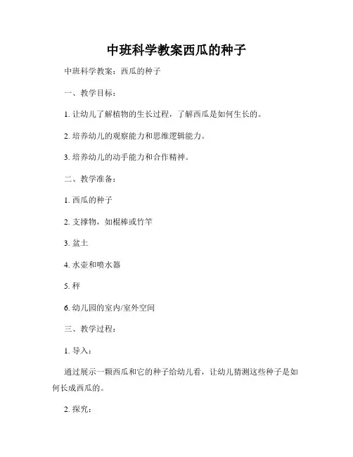 中班科学教案西瓜的种子