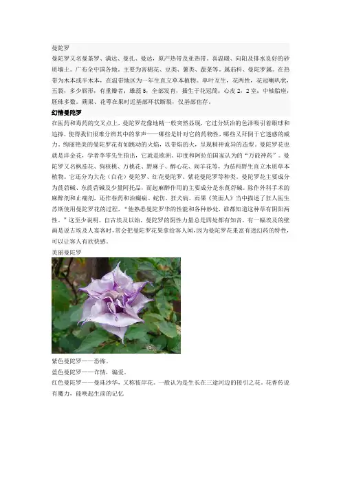 曼陀罗