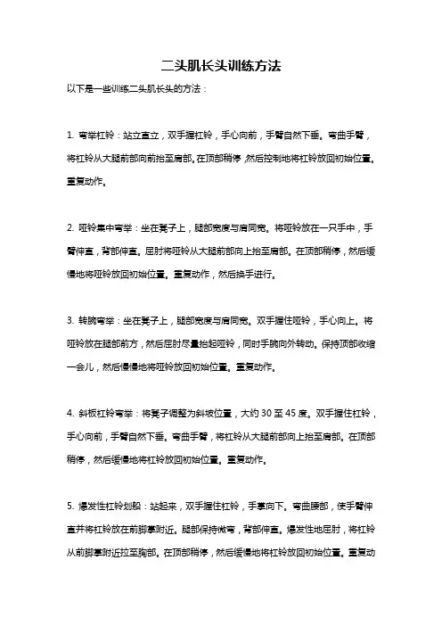 二头肌长头训练方法