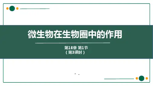 《微生物在生物圈中的作用》PPT课件(第3课时)