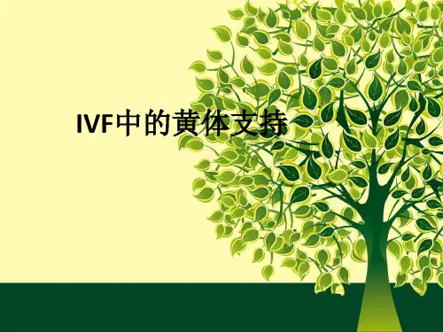 IVF中的黄体支持ppt课件