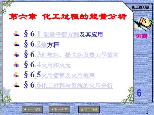 06《化工热力学》第六章化工过程的能量分析
