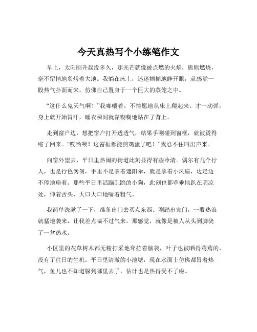 今天真热写个小练笔作文