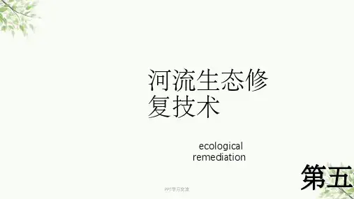 河流生态修复技术课件