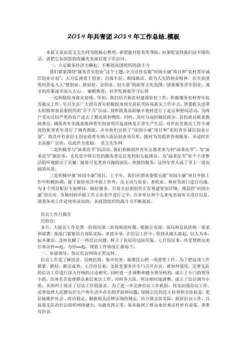 2019年共青团2019年工作总结_模板