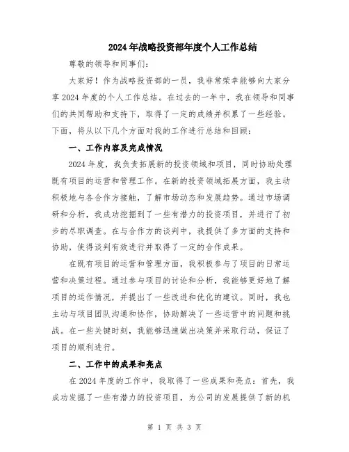 2024年战略投资部年度个人工作总结