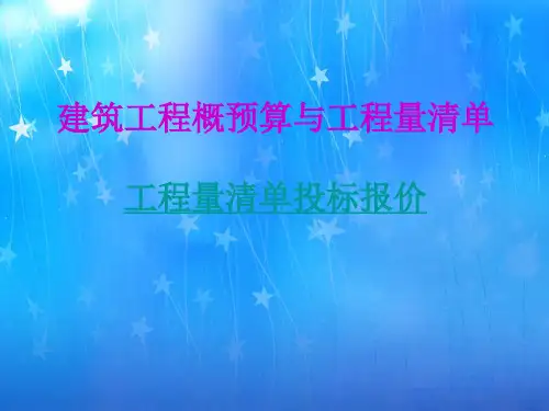 工程量清单投标报价
