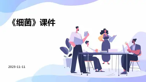 《细菌》课件